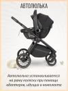 Коляска 3 в 1 Farfello Liberty Black magic