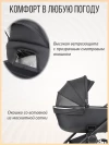 Коляска 3 в 1 Farfello Liberty Black magic