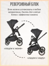 Коляска 3 в 1 Farfello Liberty Black magic