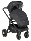 Коляска 3 в 1 Farfello Liberty Black magic