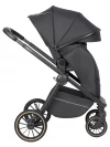 Коляска 3 в 1 Farfello Liberty Black magic