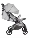 Коляска прогулочная Farfello Sunrise Silver Grey