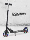 Самокат 2-х колесный Rant Colibri Black