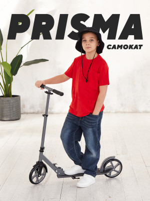 Самокат 2-х колесный MOWBaby Prisma MBS01 Grey