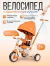 Велоколяска Farfello 6699 сафари