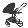 Коляска 2 в 1 Anex Flo (fl-01) Solo