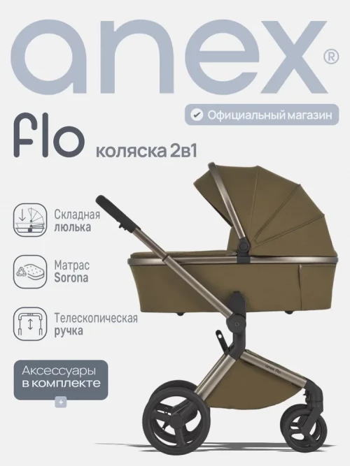 Коляска 2 в 1 Anex Flo (fl-04) Astra