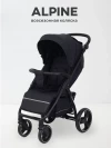 Коляска прогулочная Rant Basic Alpine RA450 2025 Black