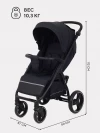 Коляска прогулочная Rant Basic Alpine RA450 2025 Black