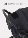Коляска прогулочная Rant Basic Alpine RA450 2025 Black