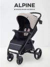 Коляска прогулочная Rant Basic Alpine RA450 2025 Beige