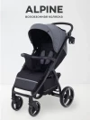 Коляска прогулочная Rant Basic Alpine RA450 2025 Graphite