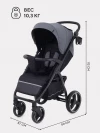 Коляска прогулочная Rant Basic Alpine RA450 2025 Graphite
