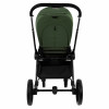 Коляска 2 в 1 Pituso Mayla Luxury Forest Green