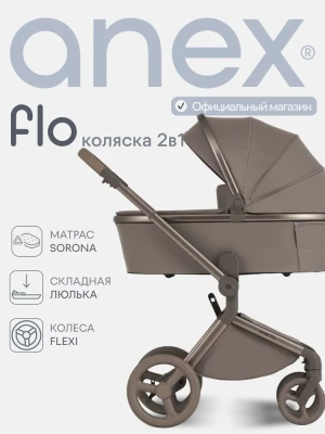 Коляска 2 в 1 Anex Flo (fl-03) Yuki