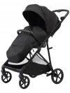 Коляска прогулочная Peppy Amici Black 