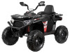Электроквадроцикл Farfello TR124 Черный