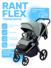 Коляска 2 в 1 Rant Flex Therm RA112 Forest Green