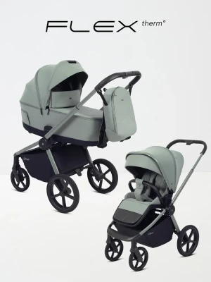 Коляска 2 в 1 Rant Flex Therm RA112 Forest Green