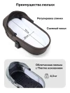Коляска 2 в 1 Rant Flex Therm RA112 Shine Brown