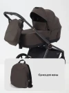 Коляска 2 в 1 Rant Flex Therm RA112 Shine Brown