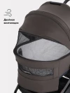 Коляска 2 в 1 Rant Flex Therm RA112 Shine Brown