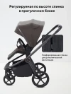 Коляска 2 в 1 Rant Flex Therm RA112 Shine Brown