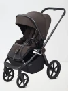 Коляска 2 в 1 Rant Flex Therm RA112 Shine Brown