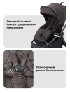 Коляска 2 в 1 Rant Flex Therm RA112 Shine Brown