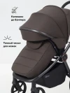 Коляска 2 в 1 Rant Flex Therm RA112 Shine Brown