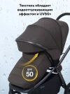 Коляска 2 в 1 Rant Flex Therm RA112 Shine Brown