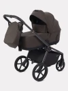 Коляска 2 в 1 Rant Flex Therm RA112 Shine Brown
