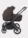 Коляска 2 в 1 Rant Flex Therm RA112 Shine Brown