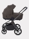 Коляска 2 в 1 Rant Flex Therm RA112 Shine Brown