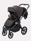 Коляска 2 в 1 Rant Flex Therm RA112 Shine Brown