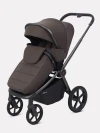 Коляска 2 в 1 Rant Flex Therm RA112 Shine Brown