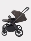Коляска 2 в 1 Rant Flex Therm RA112 Shine Brown