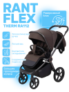 Коляска 2 в 1 Rant Flex Therm RA112 Shine Brown
