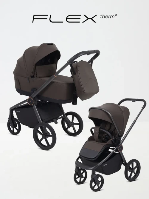 Коляска 2 в 1 Rant Flex Therm RA112 Shine Brown - фото 1