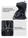 Коляска 2 в 1 Rant Flex Therm RA112 Midnight Black