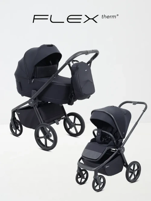 Коляска 2 в 1 Rant Flex Therm RA112 Midnight Black - фото 1