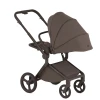 Коляска 2 в 1 Anex Flo (fl-07F) Browny