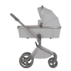 Коляска 2 в 1 Anex Flo (fl-06F) Frossy