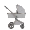 Коляска 2 в 1 Anex Flo (fl-06F) Frossy