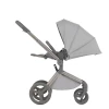 Коляска 2 в 1 Anex Flo (fl-06F) Frossy
