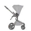 Коляска 2 в 1 Anex Flo (fl-06F) Frossy