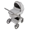 Коляска 2 в 1 Anex Flo (fl-06F) Frossy