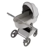 Коляска 2 в 1 Anex Flo (fl-06F) Frossy