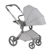 Коляска 2 в 1 Anex Flo (fl-06F) Frossy