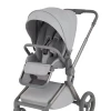 Коляска 2 в 1 Anex Flo (fl-06F) Frossy